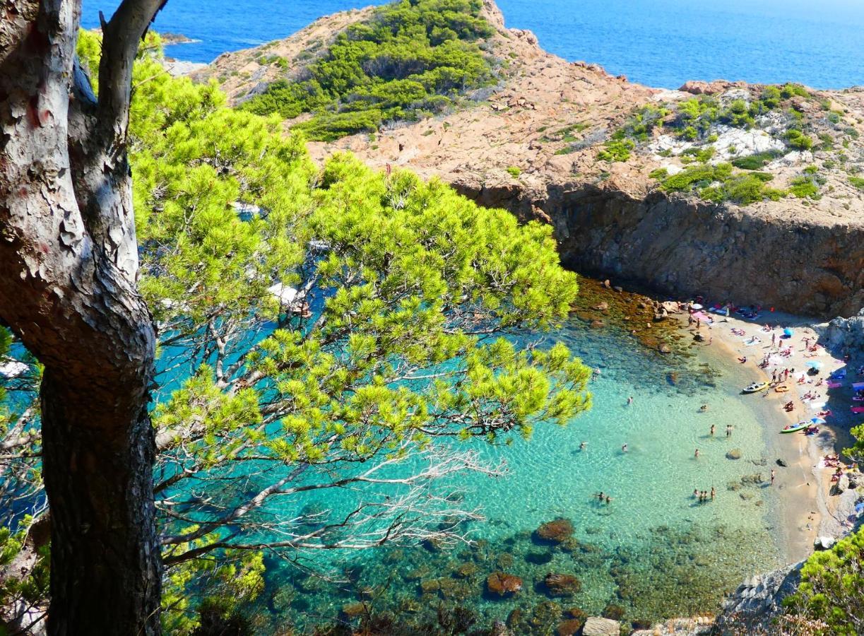 Cap Sa Sal - Sa Roca 1 - Studio acceso directo al mar Begur Exterior foto